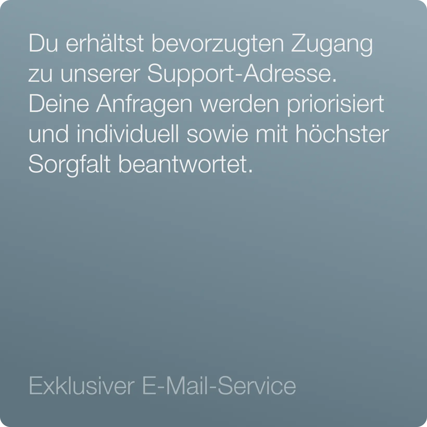 VIP-Support (monatliches Abo)