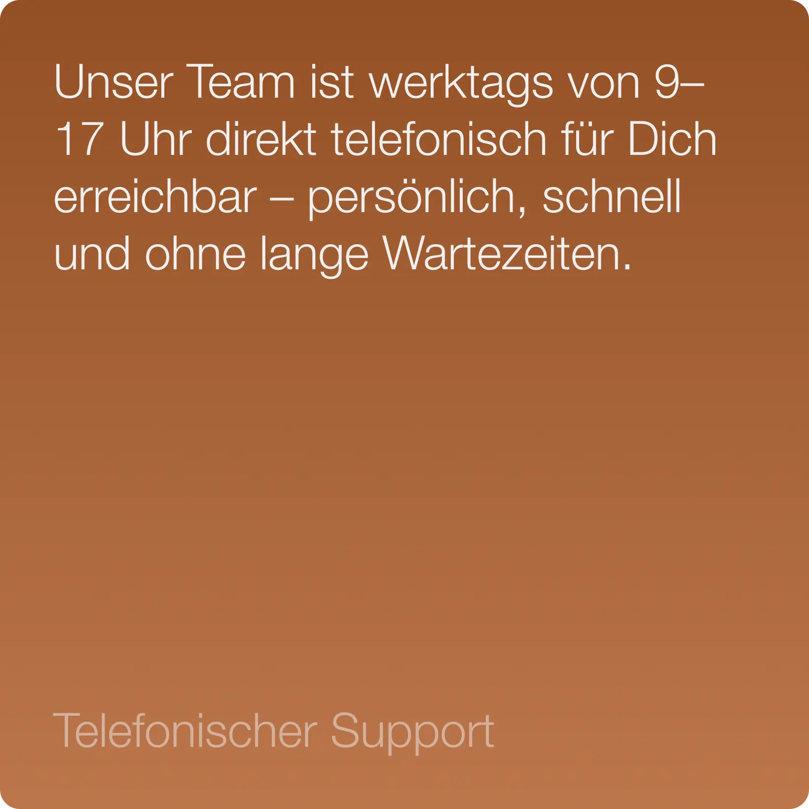 VIP-Support (2 Monate)